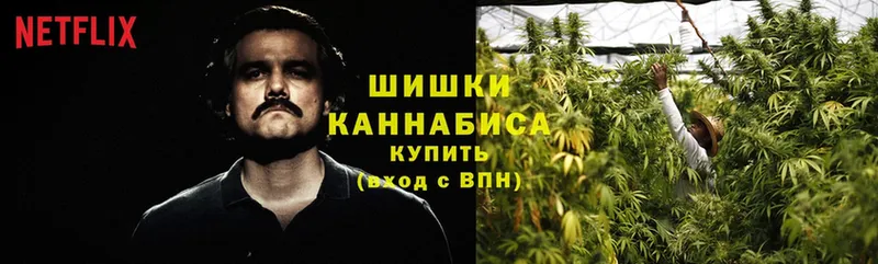 Каннабис OG Kush  Красногорск 